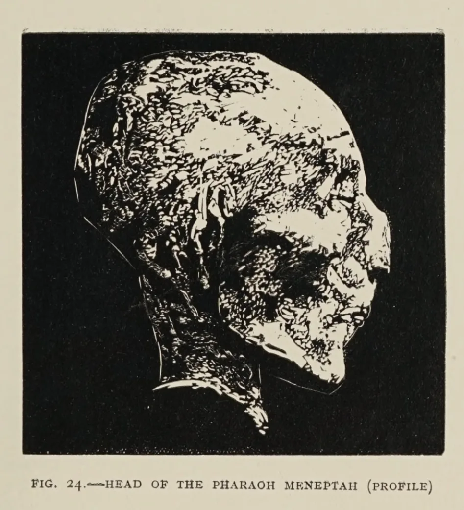 Depiction of Merneptah by Grafton Elliot Smith