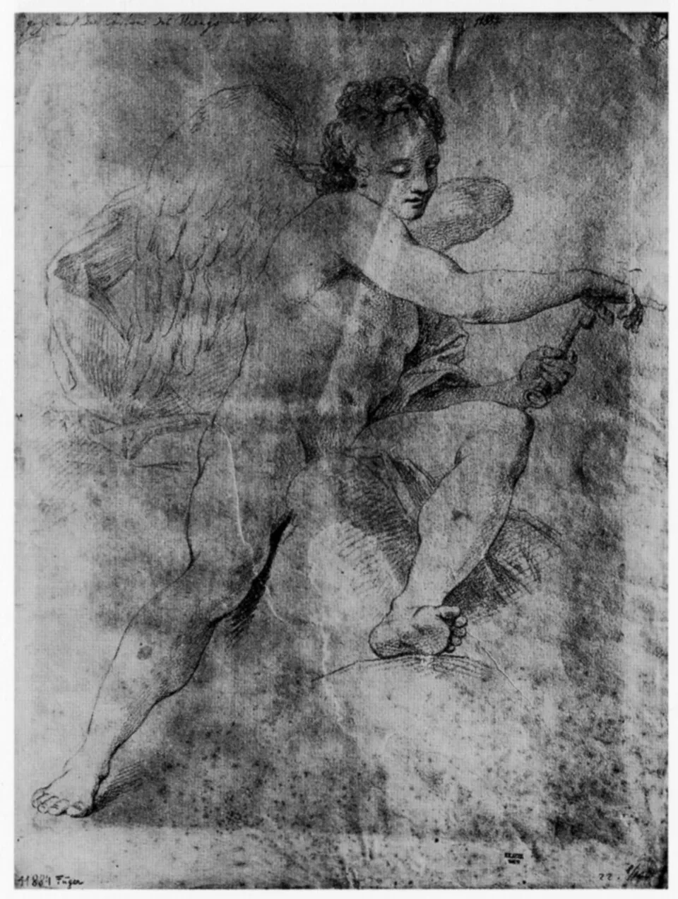 Depiction of Anteros by file: James Steakley; artwork: Heinrich Friedrich Füger