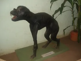 Depiction of Luisón by Patty P