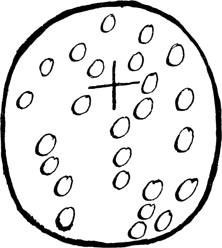 Depiction of Beaivi by Ernst Manker. Scanning, cleaning up minor imperfections in the reproduction and removing the numbers was made by Tor Gjerde at old.no; Christopher Forster made the PNG images white background transparent using ImageMagick on GNU/Linux.
